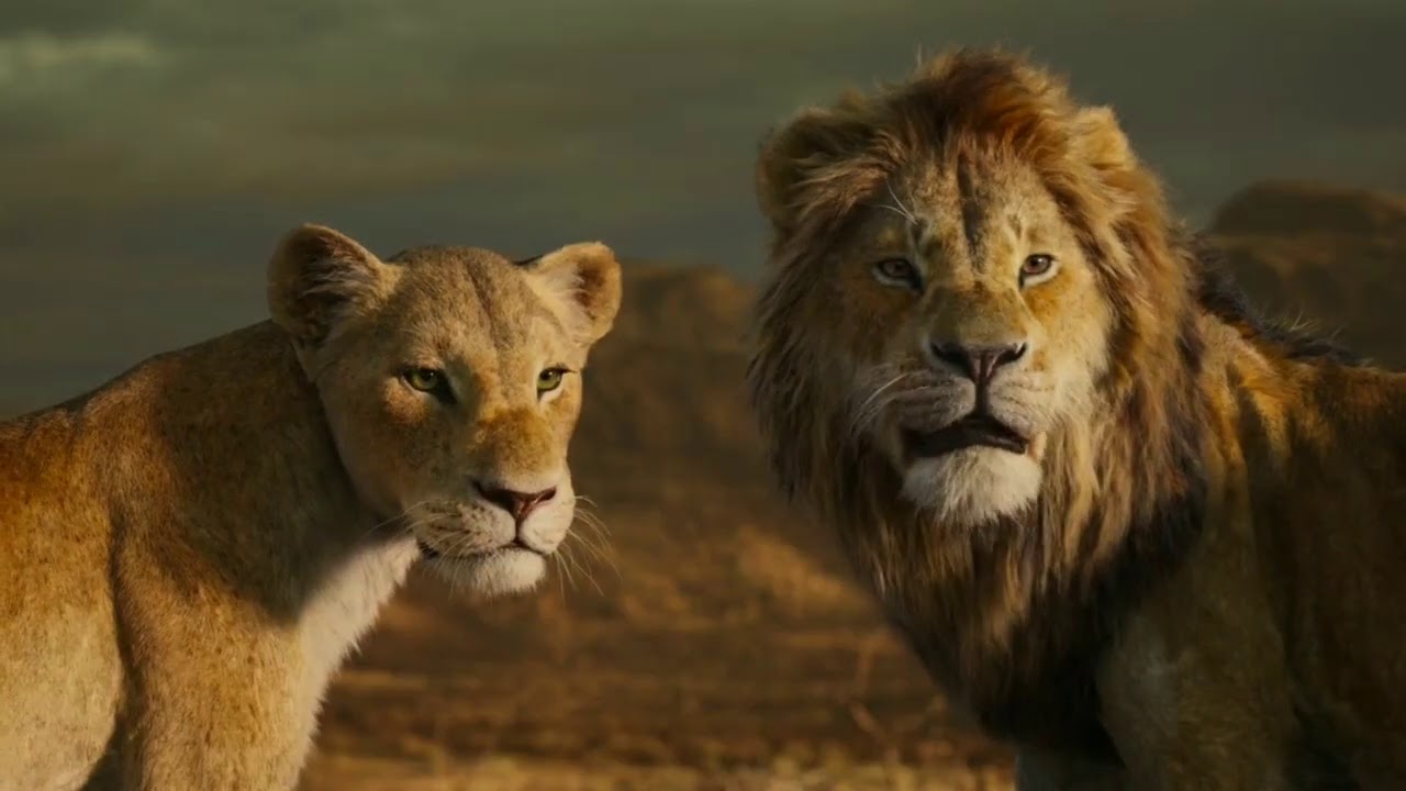 REI  LEÃO  -  MOTIVAÇÃO  - VOCÊ PRECISA VER ESTE VÍDEO.