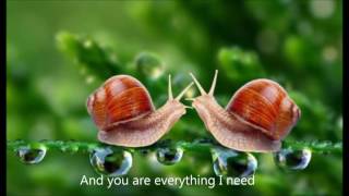 Pocket full of dreams - Hedley lyrics