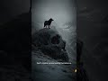 WISE WORDS You Shouldn T Miss Wolfmindset Wisewords Shorts