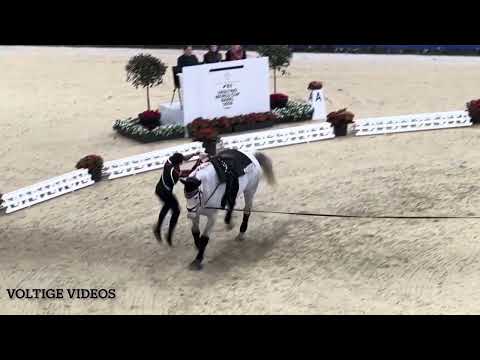 FEI Vaulting World Cup Final Basel 2024 - Thomas Brüsewitz GER - Tech Test