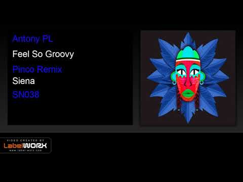 Antony PL - Feel So Groovy (Pinco Remix)