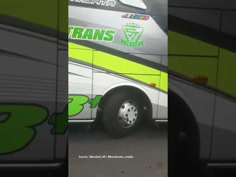 Bocah Nyaris Masuk Kolong Bus! #shorts #bismania #busmania #bus