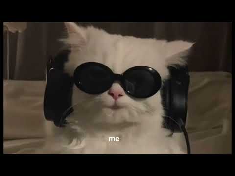 Silly Hoes - CK YG ft. Hellmerry (lyrics)