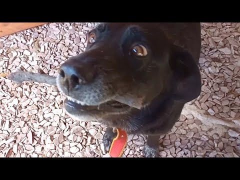 HOUSE TOUR🏡TORNQUIST