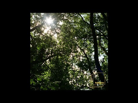 PREMIERE: Tom Bulwer - Nuit Blanche [The Bricks]