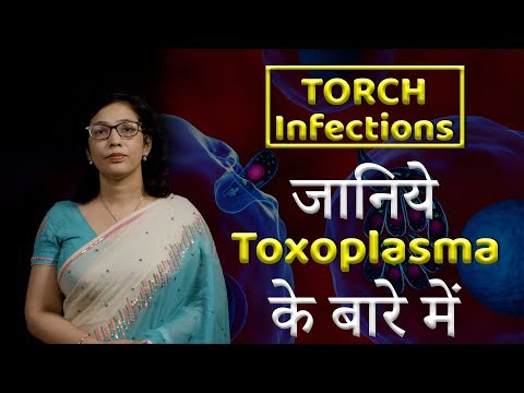 toxoplazma a fejben a férgektől az iherbig