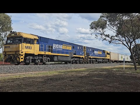 2PM5 PN up "Linfox Express #1" (NR83, NR97, 75P), Perth to Melbourne, 1530, 30/10/12, Horsham VIC 