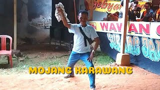 Download lagu Mojang Karawang WAWAN GROUP Perhajatan Neng Juju Garung mp3