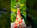 Vetri Velada Ithu Veera Velada Jayamravi Murugan Muruganstatus Devotionalsongs Trendingshorts