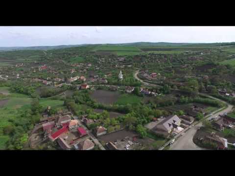 Padurenicoc vazut de sus