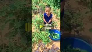 Download lagu puculi okama                #lyric #avamax #music #singer #cover #popmusiclyrics #love #songlyrics mp3