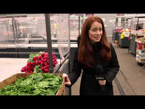 Ceger ep. 442 17.11.2020.