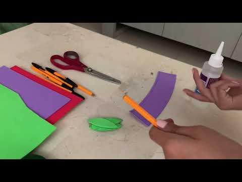 Video donadores horas