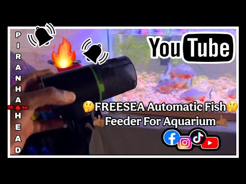 Freesea Automatic Fish Feeder for Aquarium: 3 Timers & One-Touch Easy Setup - 7-14 Day Supply with 200ML Food Dispenser - Worry-Free Vacation Feeding for Betta Turtle Tank video review thumbnail