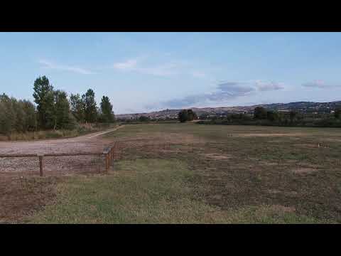 Bagalini Colombo (63)