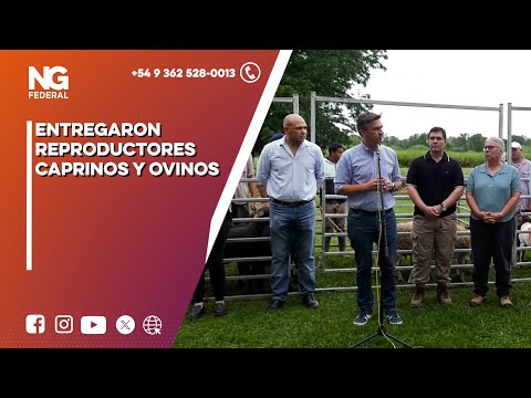 NGFEDERAL - ENTREGARON REPRODUCTORES CAPRINOS Y OVINOS - MAKALLÉ - CHACO