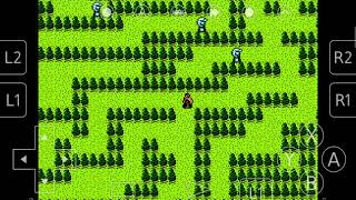 Advanced Dungeons & Dragons – Dragons of Flame - NES, Actual Gameplay