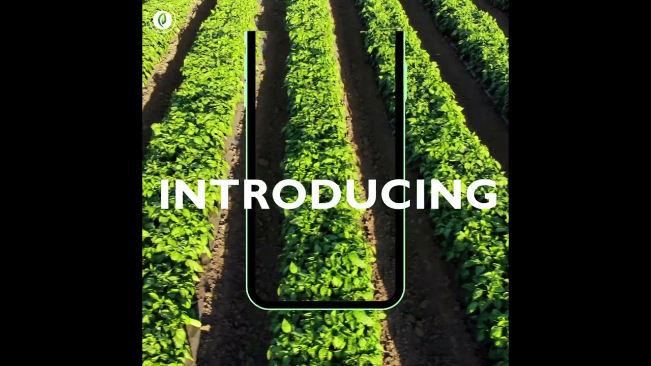 Introducing AgWise Conversational Agriculture