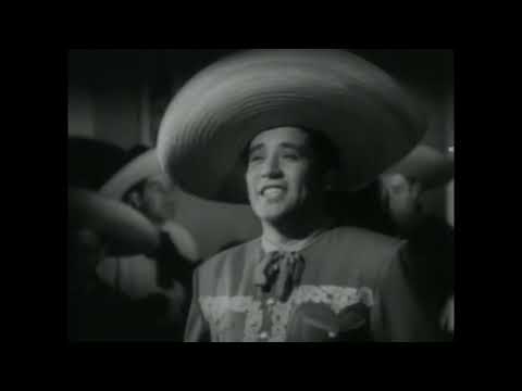 Entre Copa y Copa - Miguel Aceves Mejía (con letra)