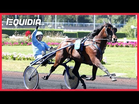 CRITERIUM DES 5 ANS 2012 : THE BEST MADRIK