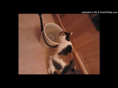 Ciurivankopson - niePompuj rap