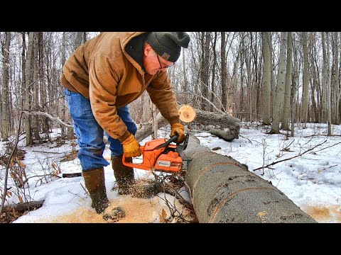 Cutting Firewood & Telling Stories
