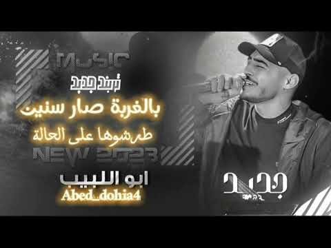 ابو لبيب بالغربة صار سنين طرشوها على الحالة ابو اللبيب جديد 2023