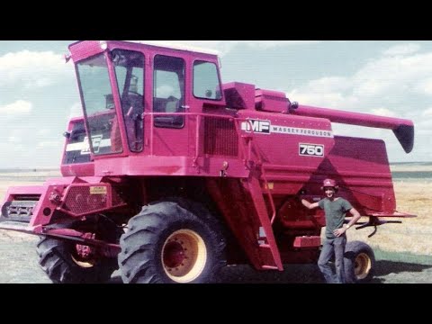 Z Crew - The Early Years Wheat Harvest 1988 - Massey Ferguson Combines
