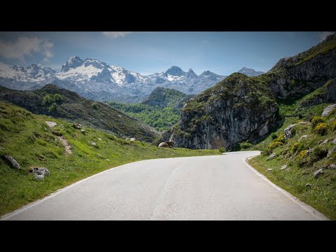 The Road to Home | Our Cancer Story Pt. 7