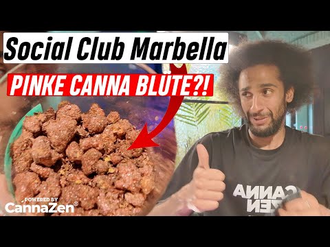 Spain Pink Cannabis Flowers Marbella: Exclusive Scene