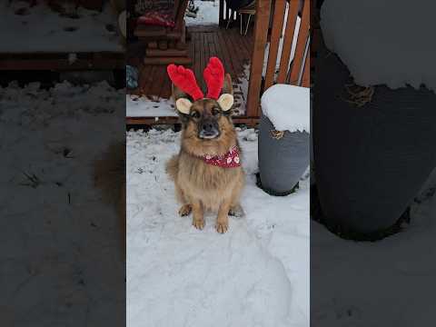Sprawdźcie wasze ogródki