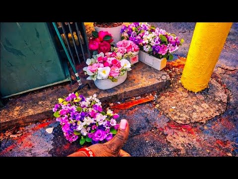 “At First There Was NOTHING… Then I Found ALL This!"#dumpsterdiving #dumpsterdivingrookie 