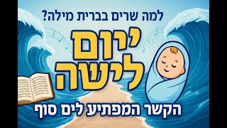 למה שרים 'יום ליבשה' בברית מילה? הקשר המפתיע לקריעת ים סוף