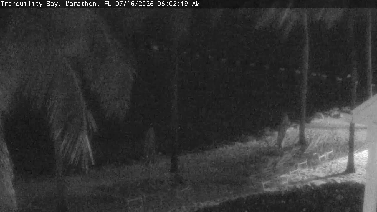 Live webcam view of Tranquility Bay Beachfront