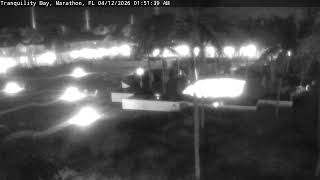 Tranquility Bay Resort