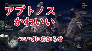 #6【モンスターハンターワールド実況】アンジャナフを狩った先【お知らせがあります】