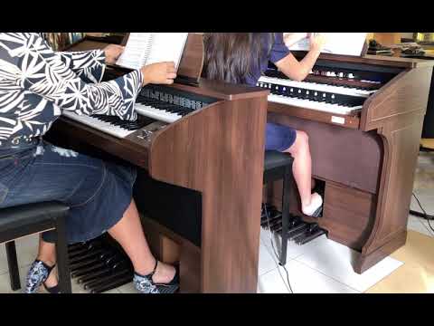 Órgãos TOKAI T1 Litúrgico e D2 Tradicional - Loja GUIMARÃES COMERCIAL-Instrumentos Musicais