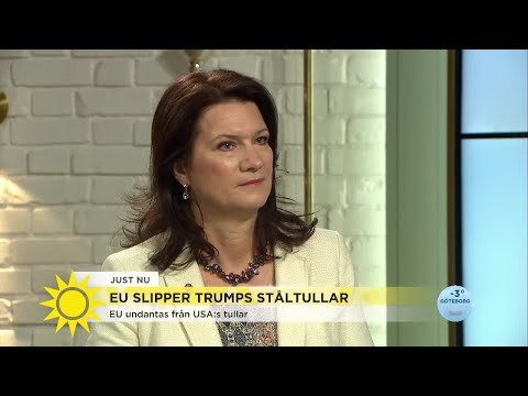 Handelsministern om att EU slipper ståltullar: "Det är inte över än" - Nyhetsmorgon (TV4)