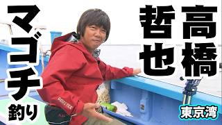 マゴチ