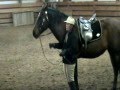 Tip for the Ride ~ Winter Horse Play Part I