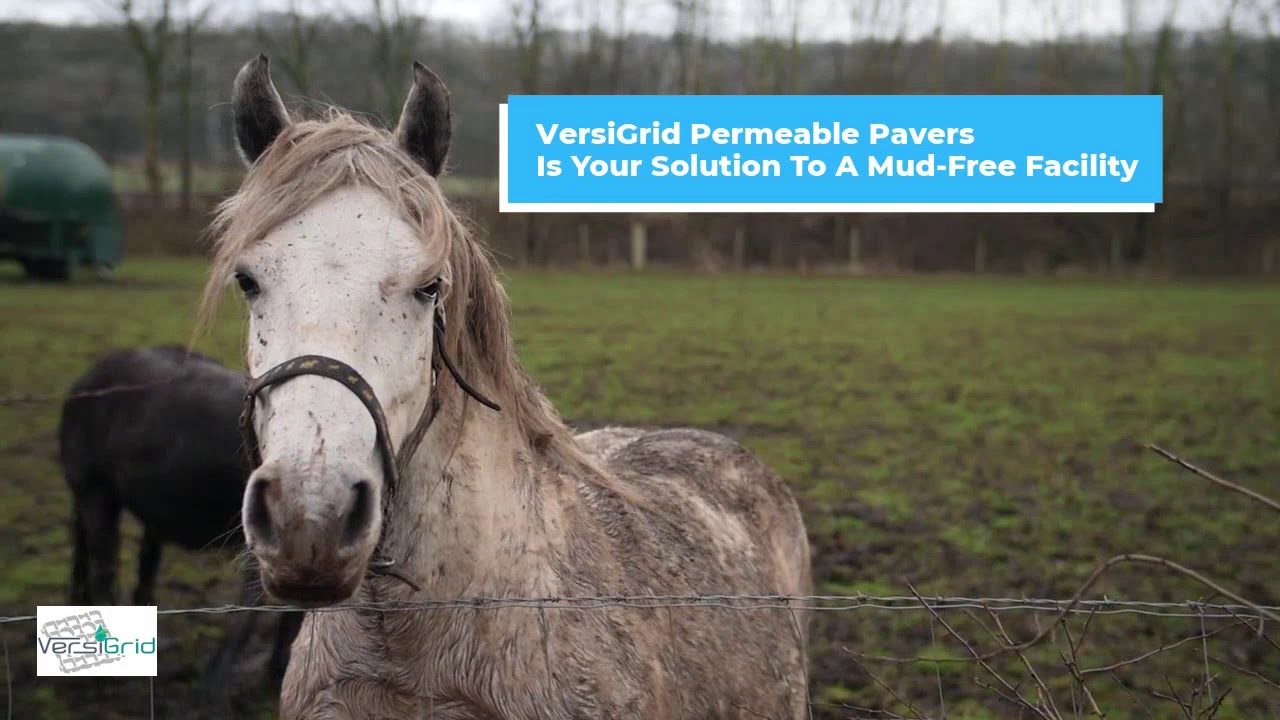 VersiGrid Paddock Mud Management An Equine Addiction