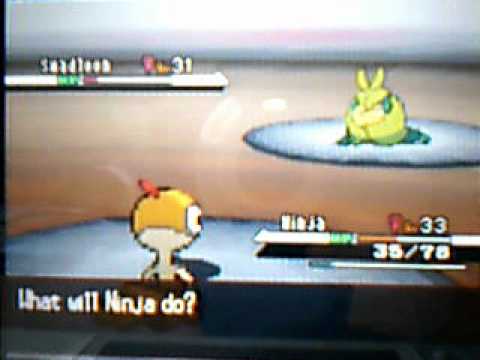 Pokemon White Walkthrough part 28