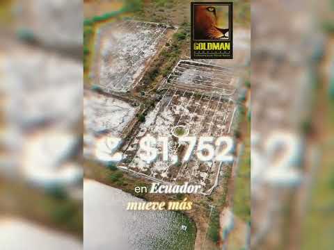🦐 Terreno para Camaronera en Venta | Huaquillas, El Oro
