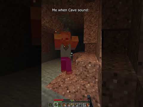 SteveStan - Me when I hear a Cave Sound in Minecraft #minecraft #shorts  #minecraftshorts