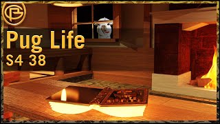 Drama Time - Pug Life