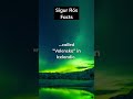 Sigur Ros New Song #sigurrós #iceland #factshorts #language #creative #postrock #rocknroll #fypシ