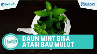 Jarang Diketahui! ini Penyebab Bau Mulut Tak Sedap secara Medis, Begini Cara Atasi dengan Daun Mint