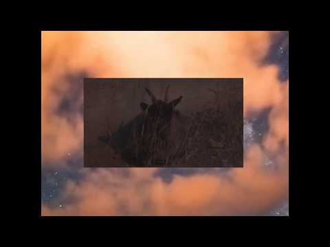 Cheezzy - N O  B I T C H  (Official audio)