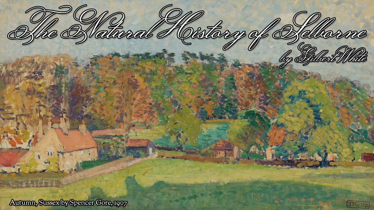 The Natural History of Selborne by Gilbert White (1789) Letter 22 to Thomas Pennant