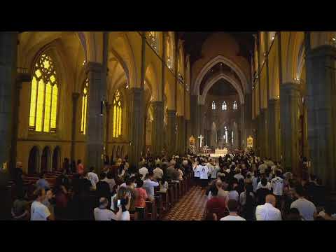 11am Mass - Sunday 18 January